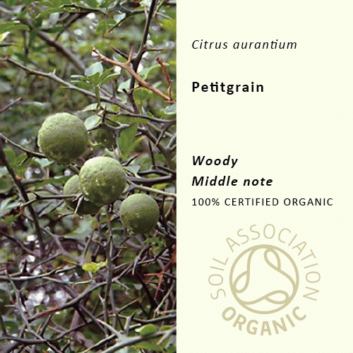 10％off | プチグレン | Citrus aurantium (使用期限:2026年8月)