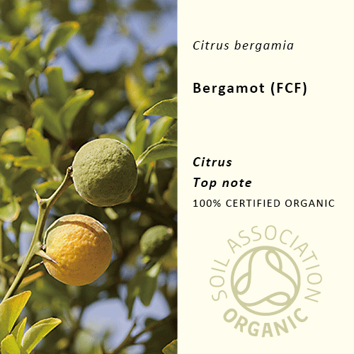 ベルガモット(FCF) | Citrus bergamia