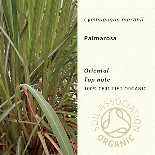30%off | パルマローザ | Cymbopogon martini(使用期限:2025年8月)